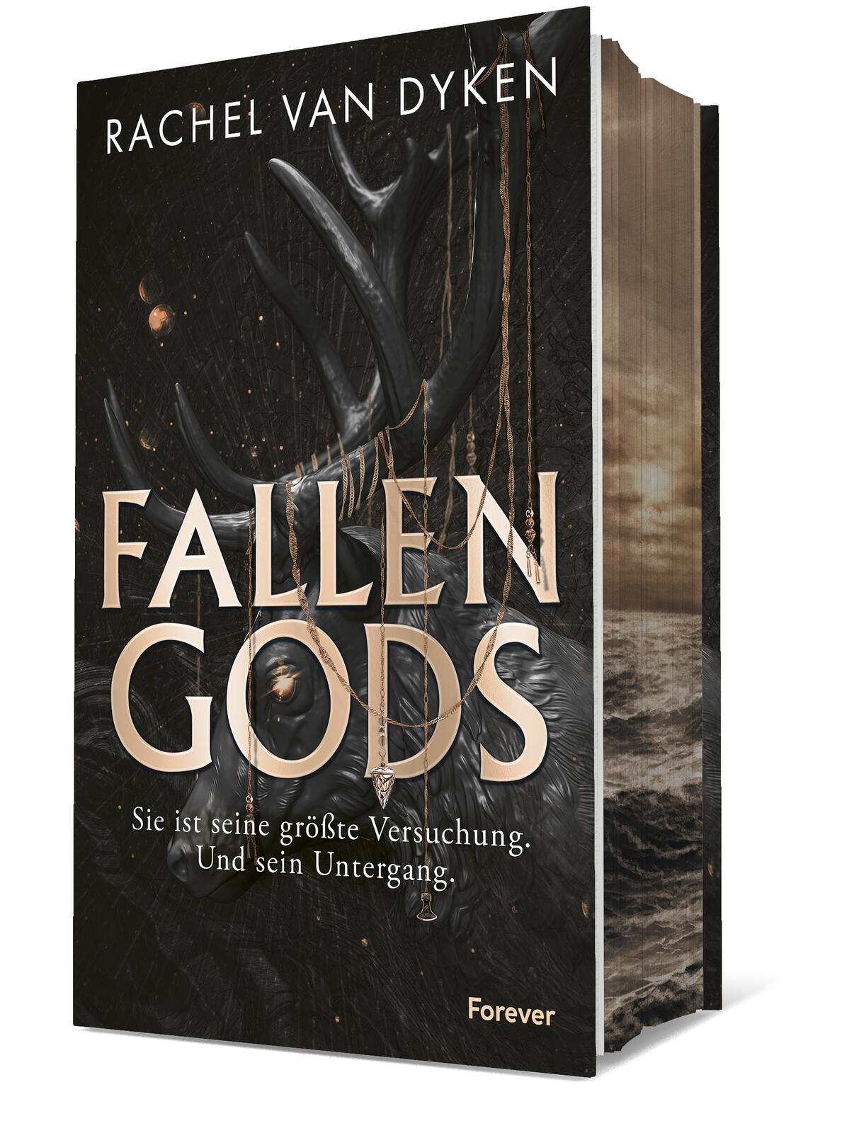 Vorderes Coverbild Fallen Gods