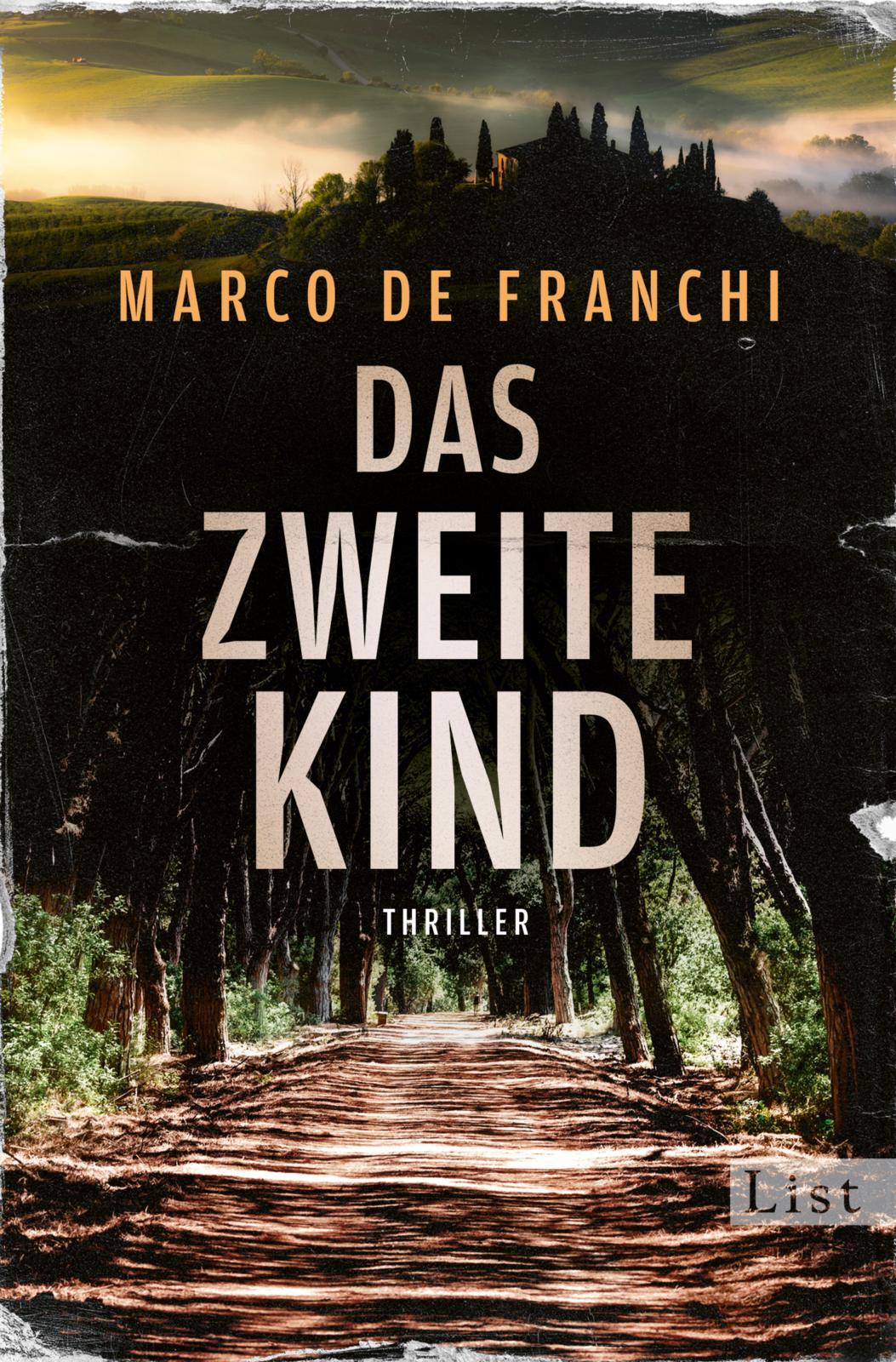 Vorderes Coverbild Das zweite Kind