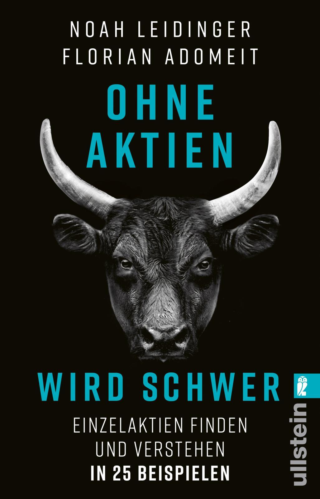 Vorderes Coverbild Ohne Aktien Wird Schwer