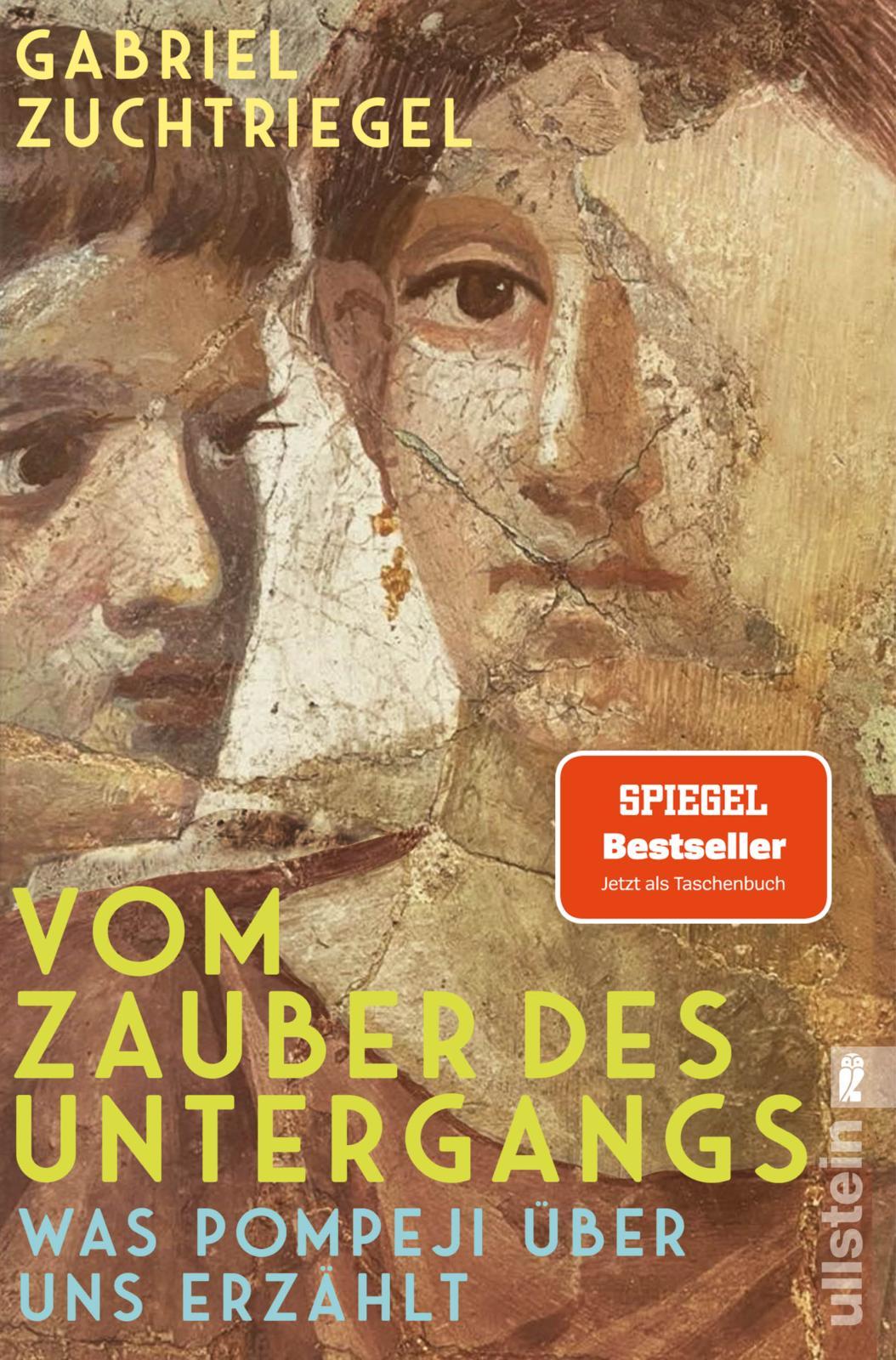 Vorderes Coverbild Vom Zauber des Untergangs