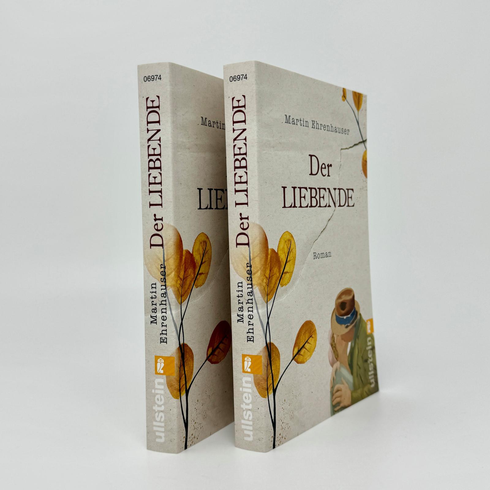 Beispielinhalt (Bild) Der Liebende