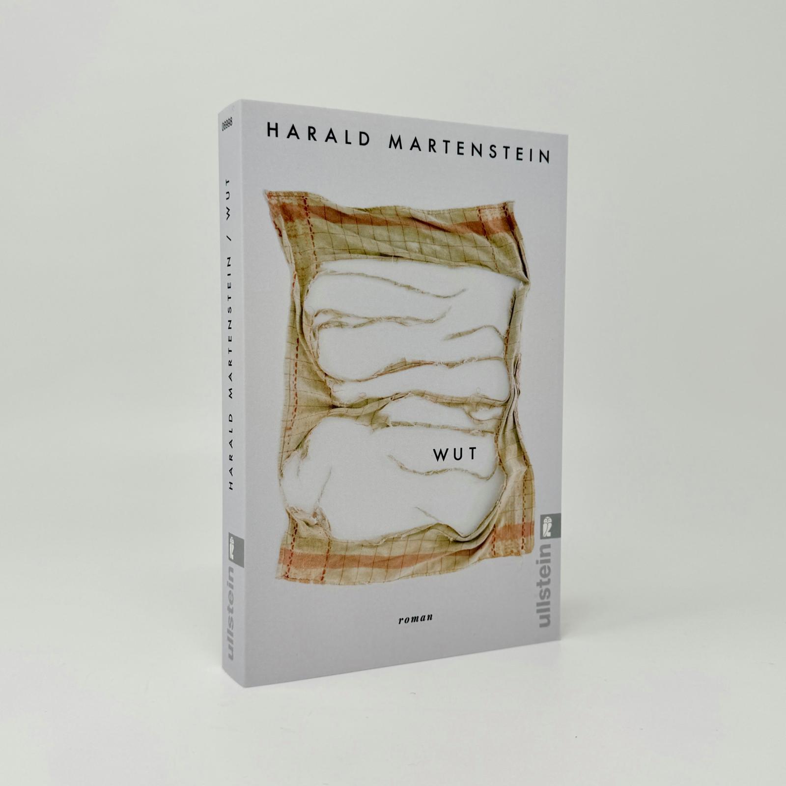 Beispielinhalt (Bild) Wut