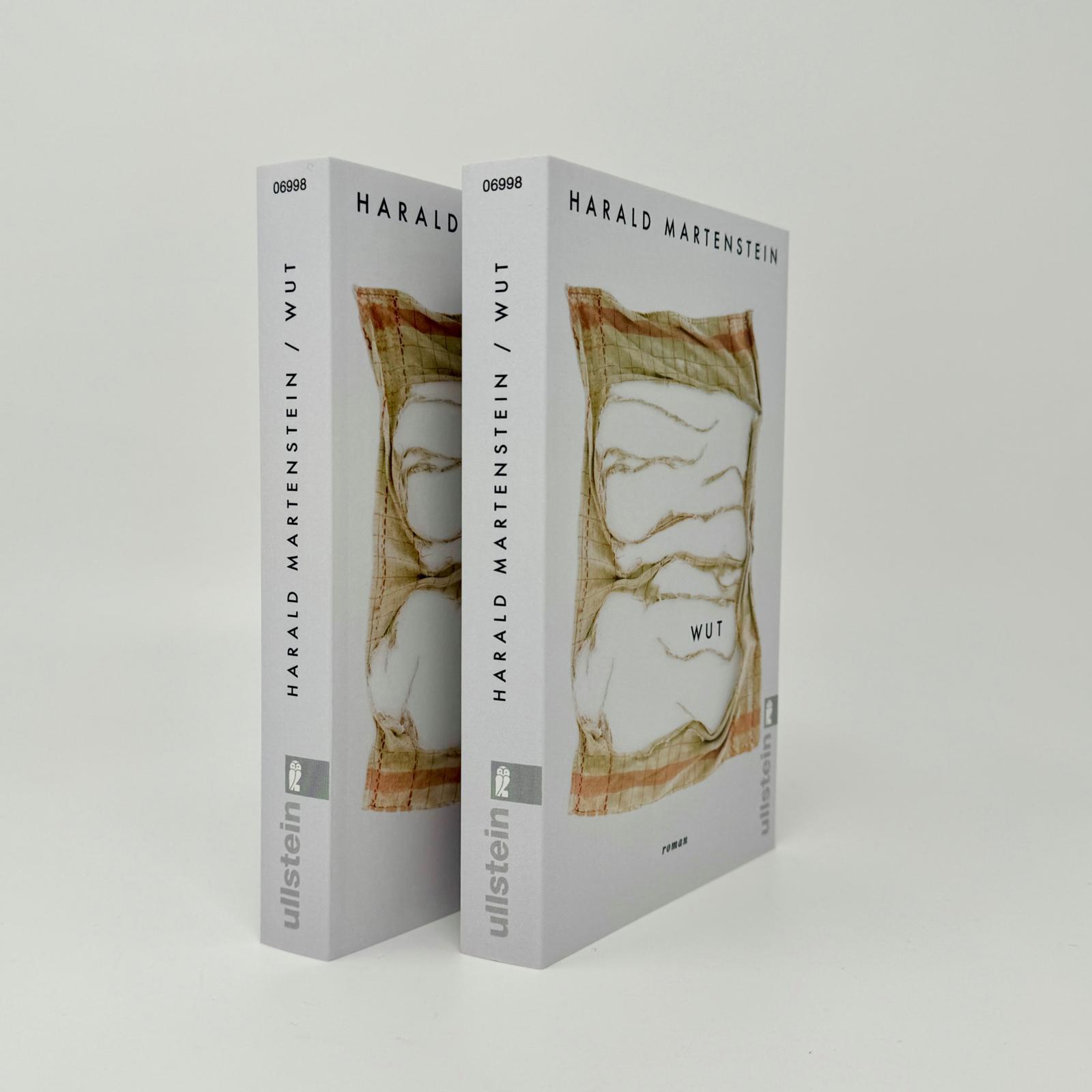 Beispielinhalt (Bild) Wut