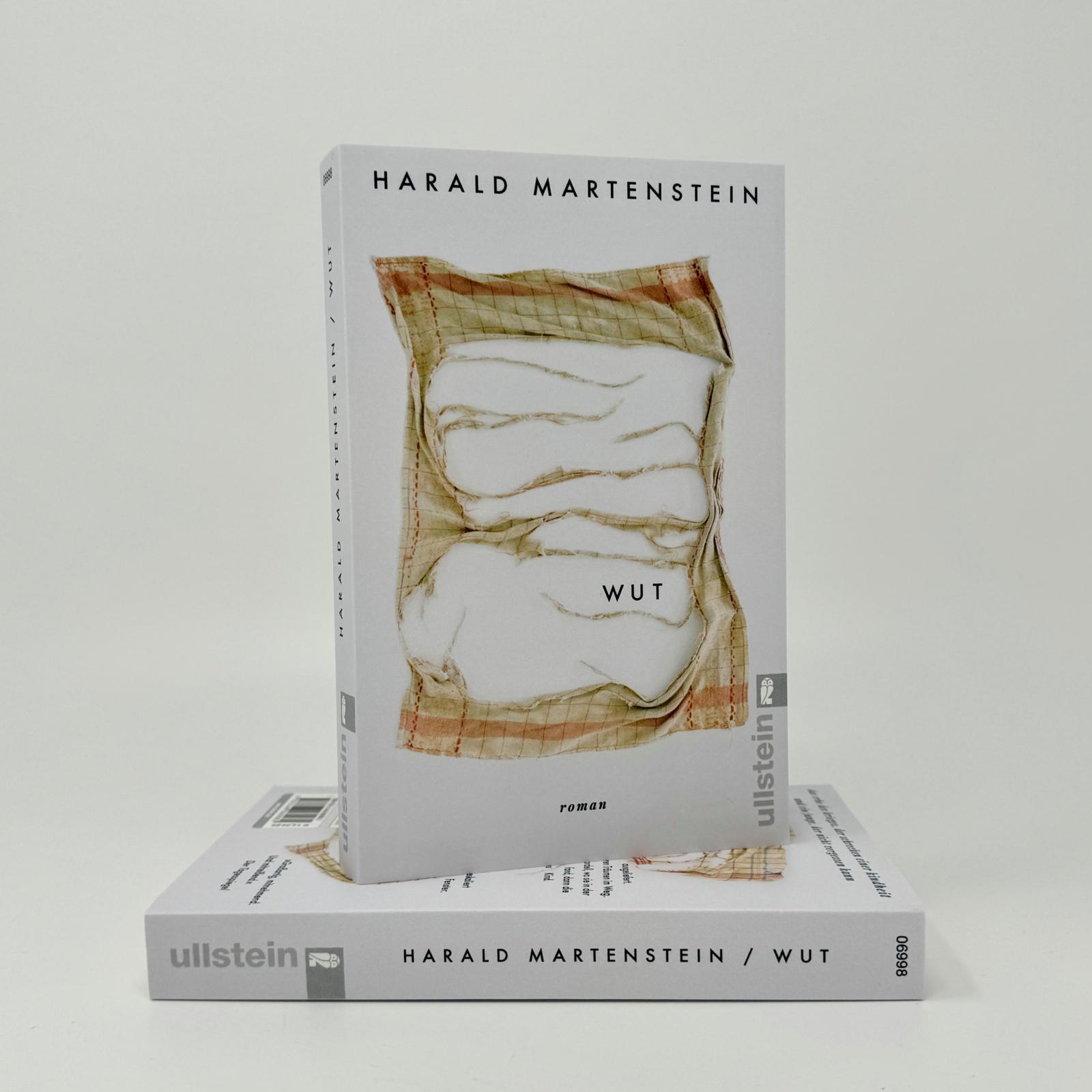 Beispielinhalt (Bild) Wut