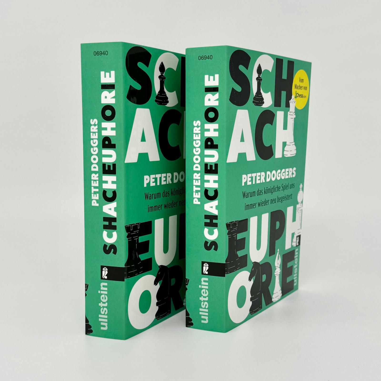 Beispielinhalt (Bild) Schach-Euphorie