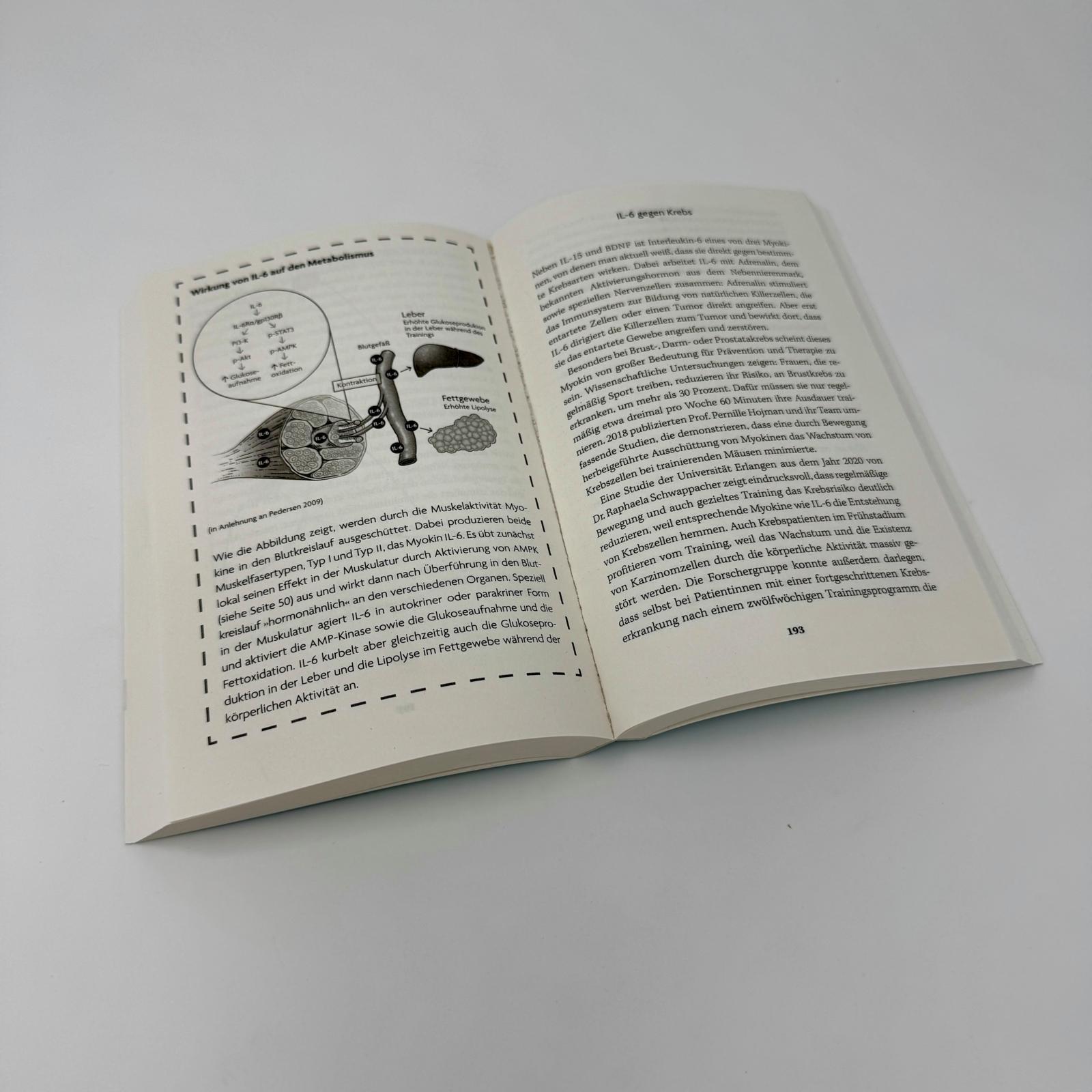 Beispielinhalt (Bild) Muskeln - die Gesundmacher