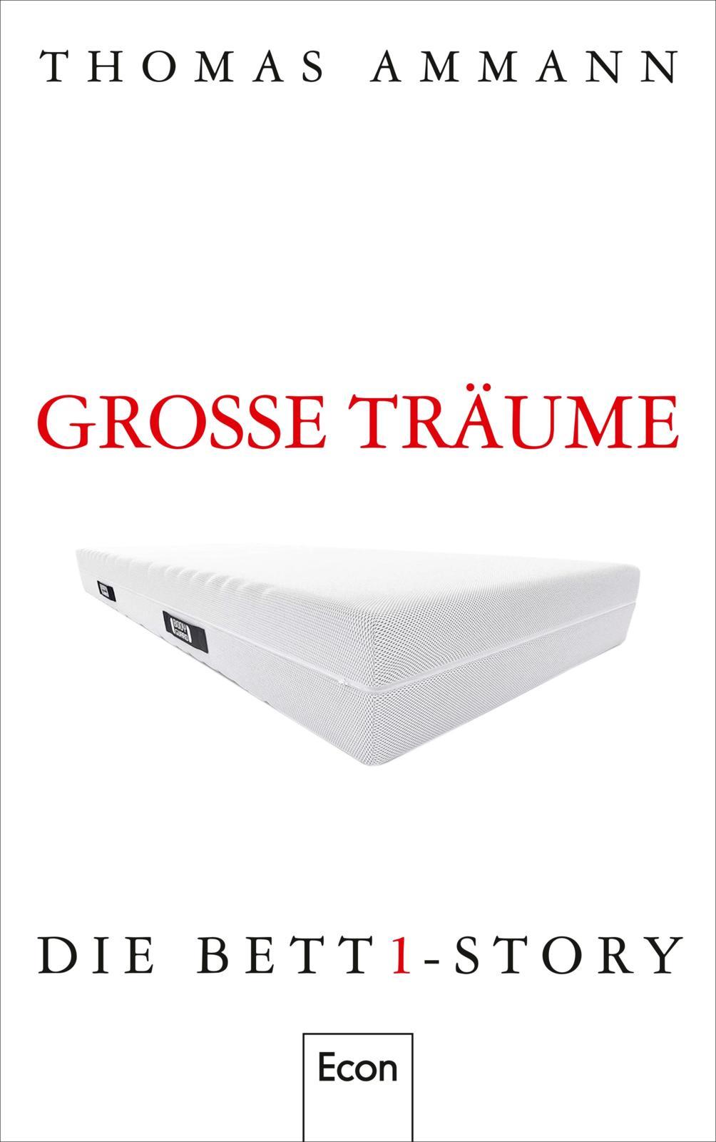 Vorderes Coverbild Große Träume