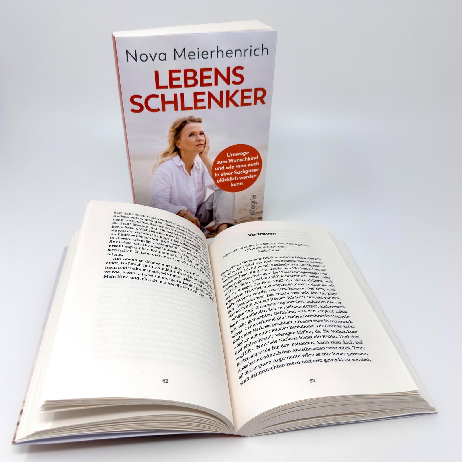 Beispielinhalt (Bild) Lebensschlenker