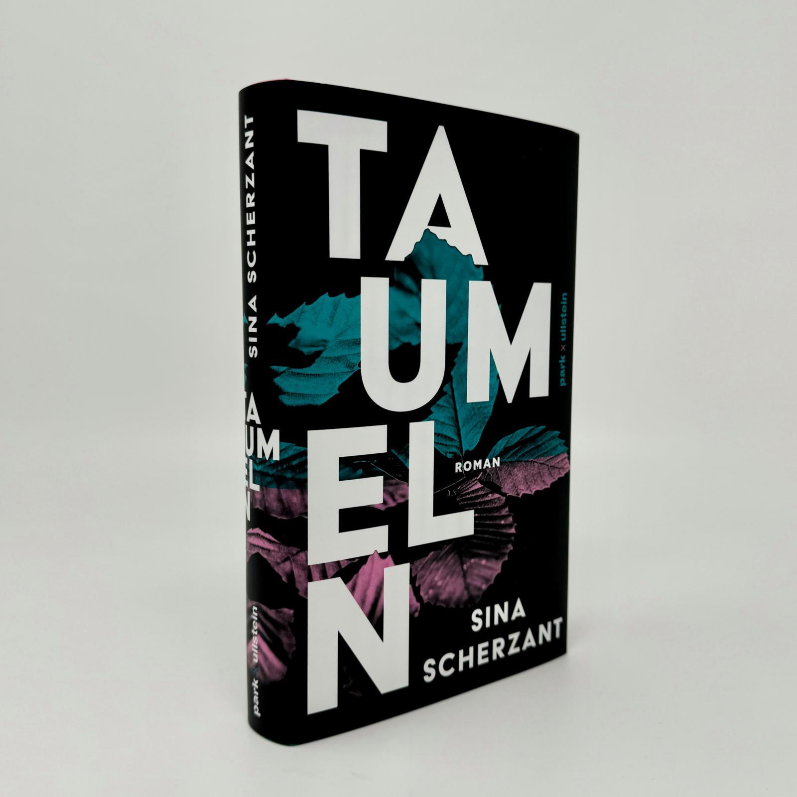 Beispielinhalt (Bild) Taumeln