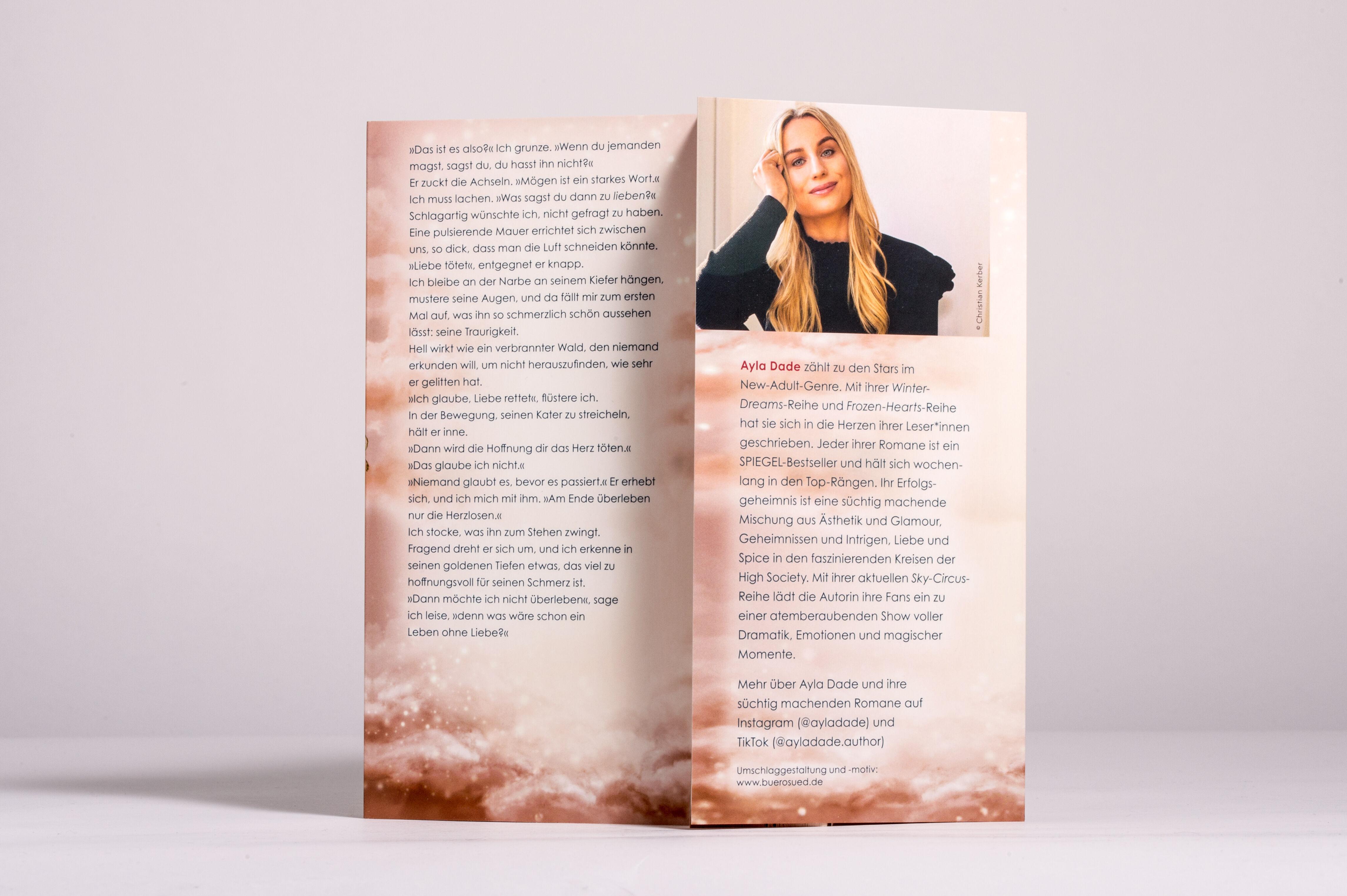 Beispielinhalt (Bild) A Million Stars Above