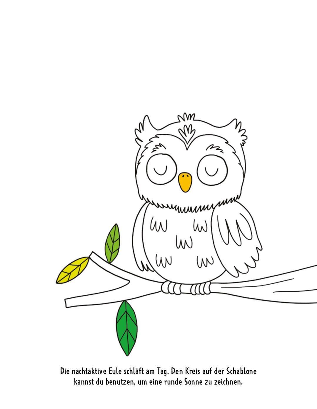 Beispielinhalt (Bild) Malbuch mit Schablone. Tiere