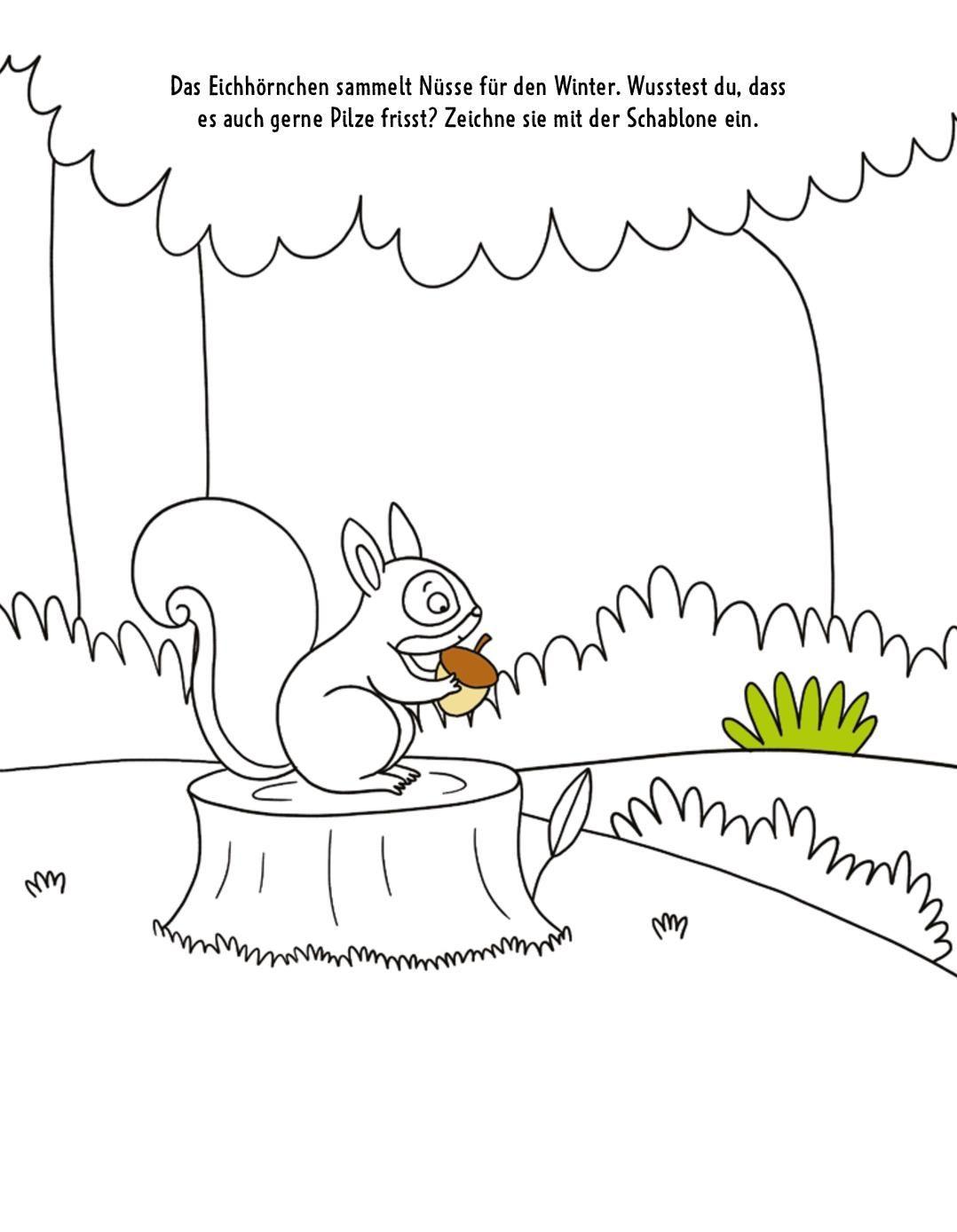 Beispielinhalt (Bild) Malbuch mit Schablone. Tiere