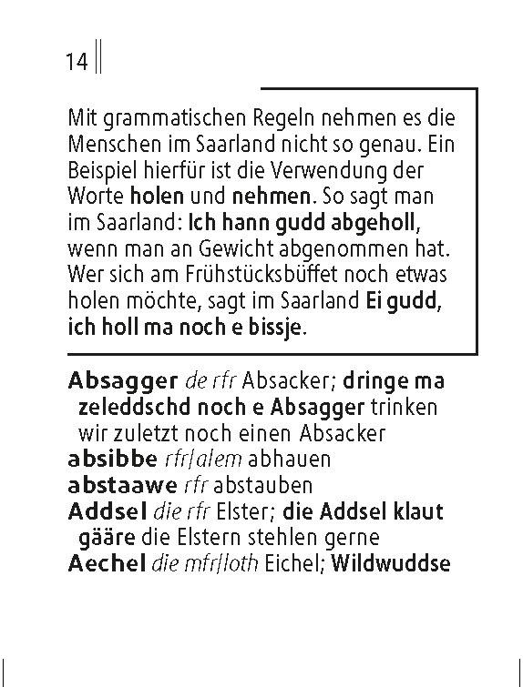 Beispielinhalt (Bild) Langenscheidt Lilliput Saarländisch