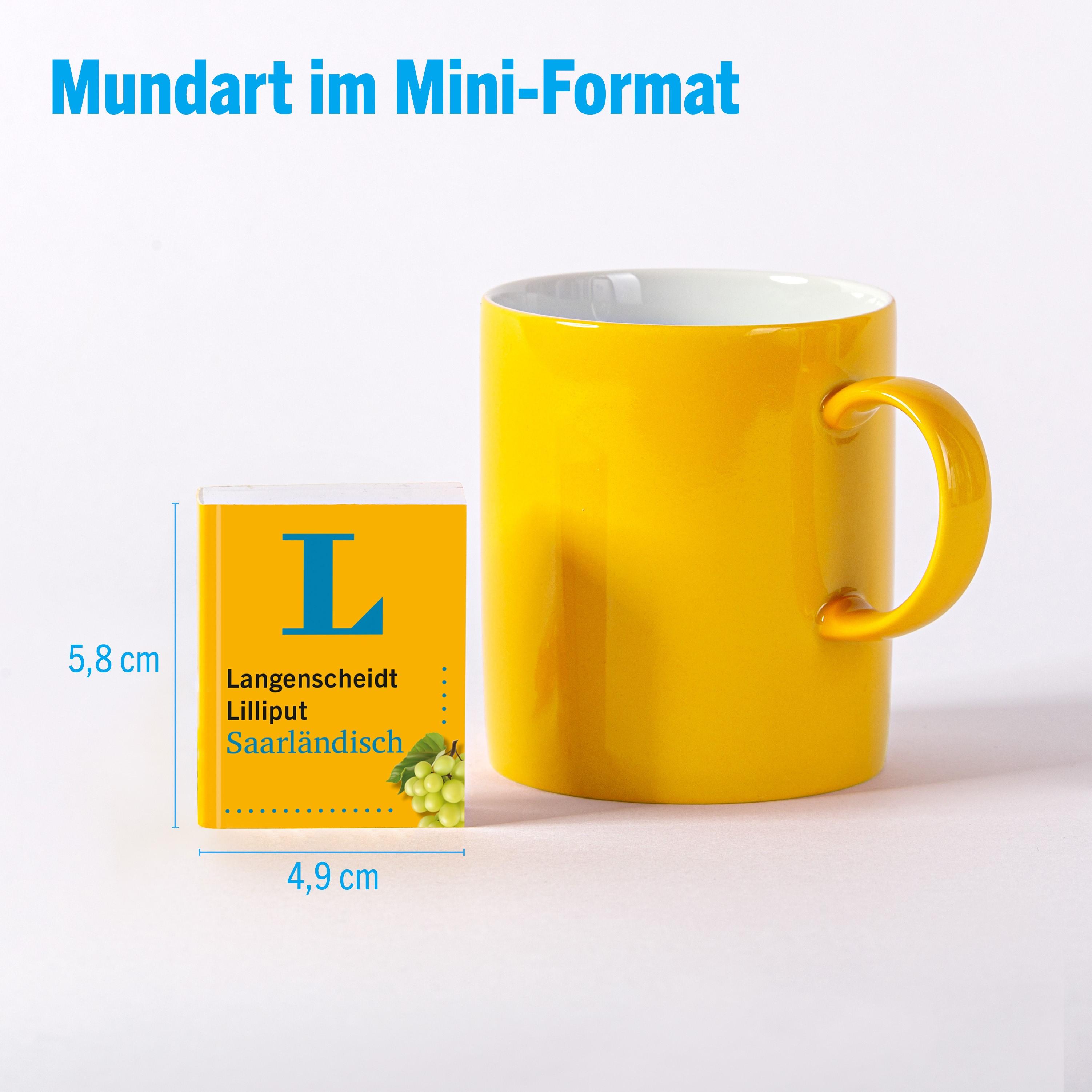 Beispielinhalt (Bild) Langenscheidt Lilliput Saarländisch