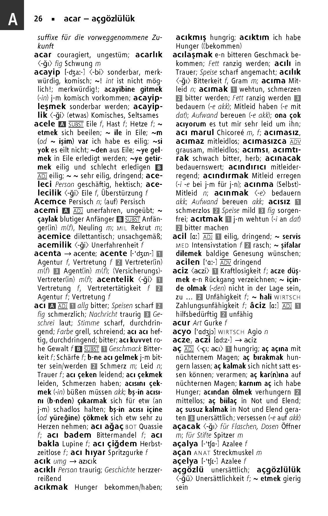 Beispielinhalt (Bild) Langenscheidt Taschenwörterbuch Türkisch
