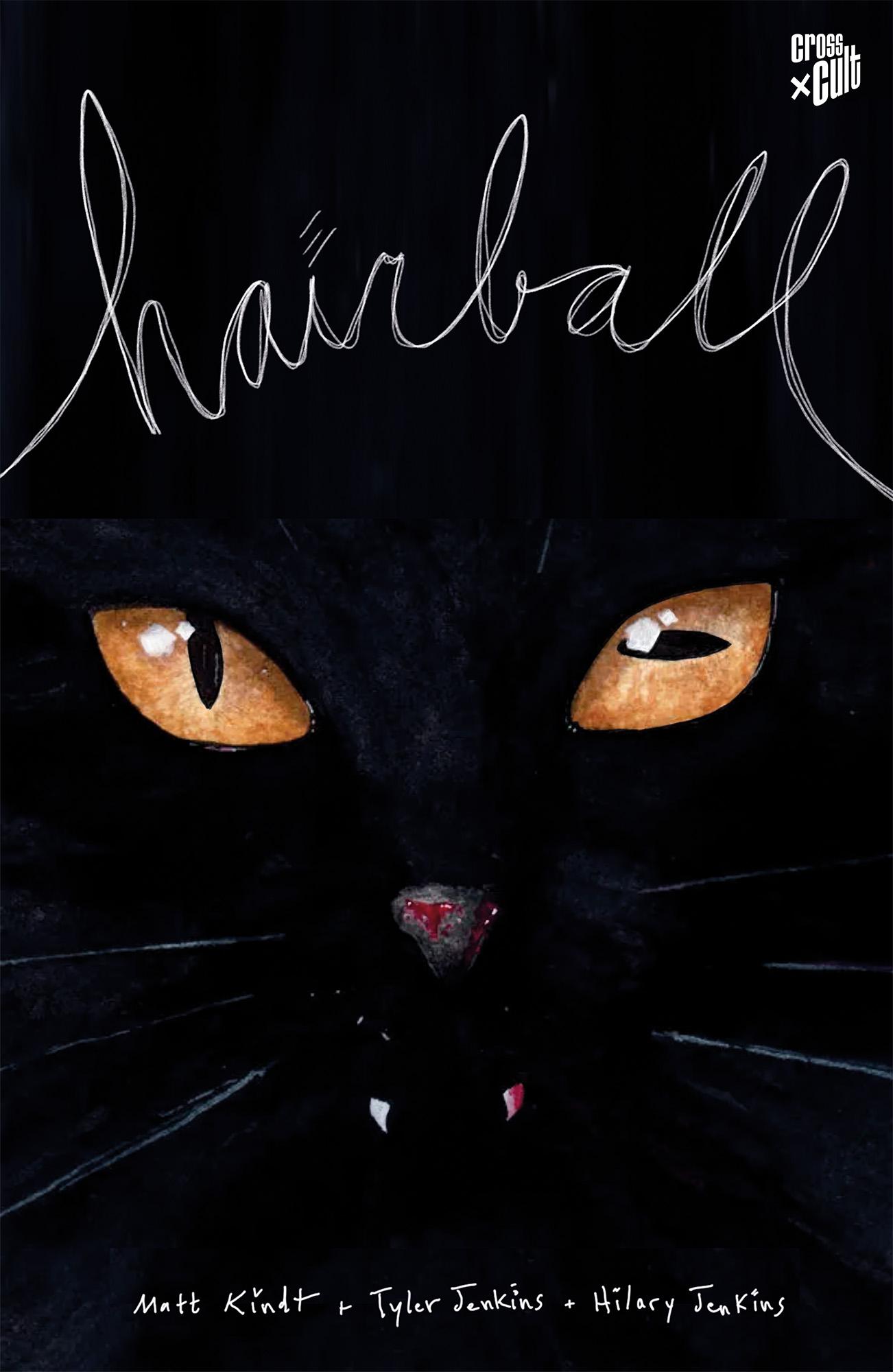 Vorderes Coverbild Hairball