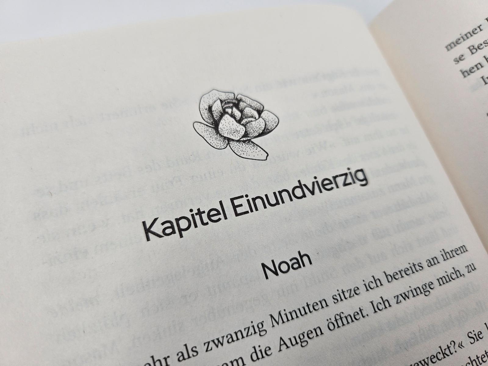 Beispielinhalt (Bild) Say you swear