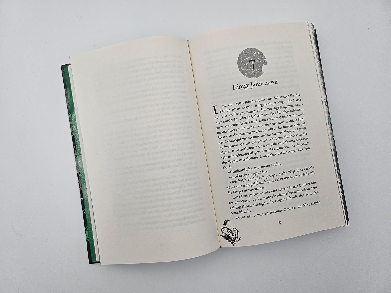 Beispielinhalt (Bild) Brunnengeister - Ich verspreche dir alles, was du willst ...