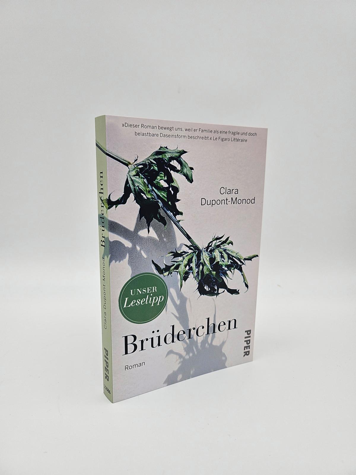 Beispielinhalt (Bild) Brüderchen