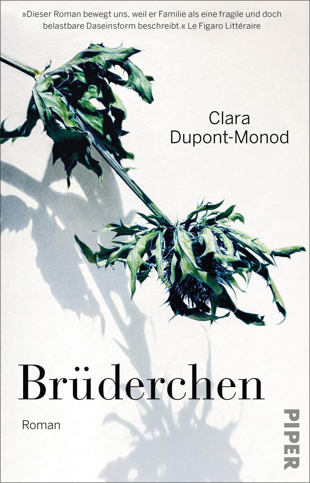 Vorderes Coverbild Brüderchen