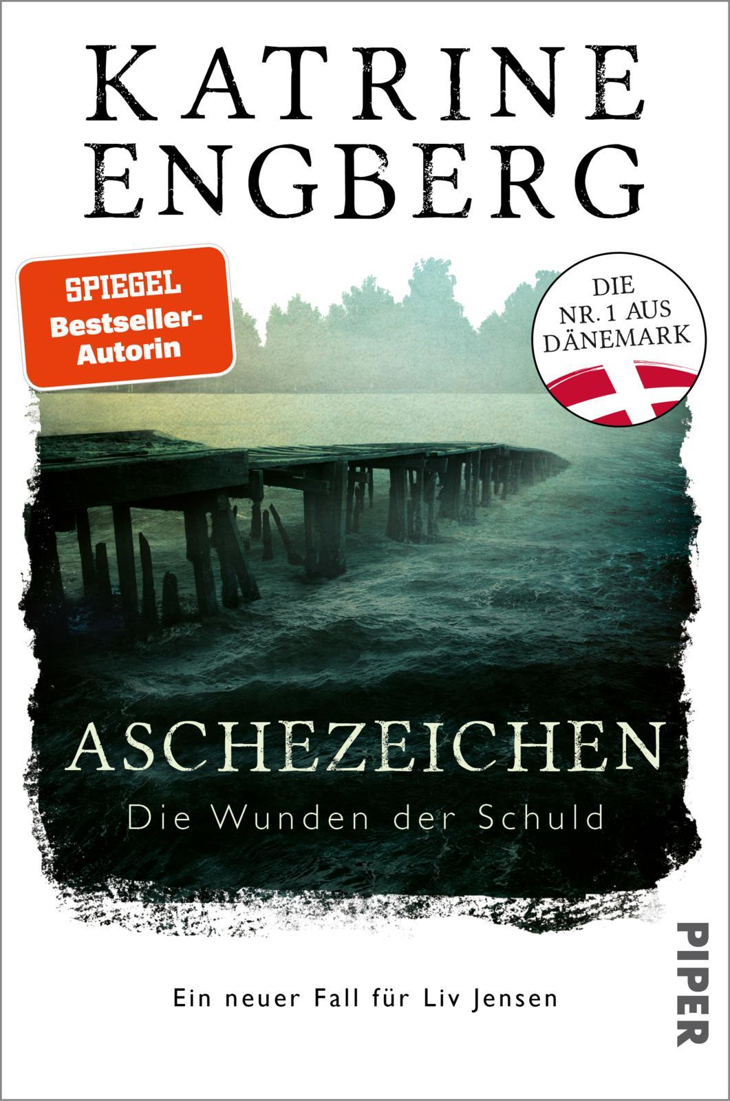 Vorderes Coverbild Aschezeichen