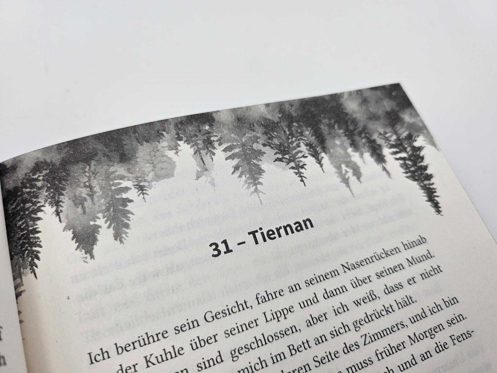 Beispielinhalt (Bild) Credence - Sie ist tabu, doch Liebe kennt keine Regeln