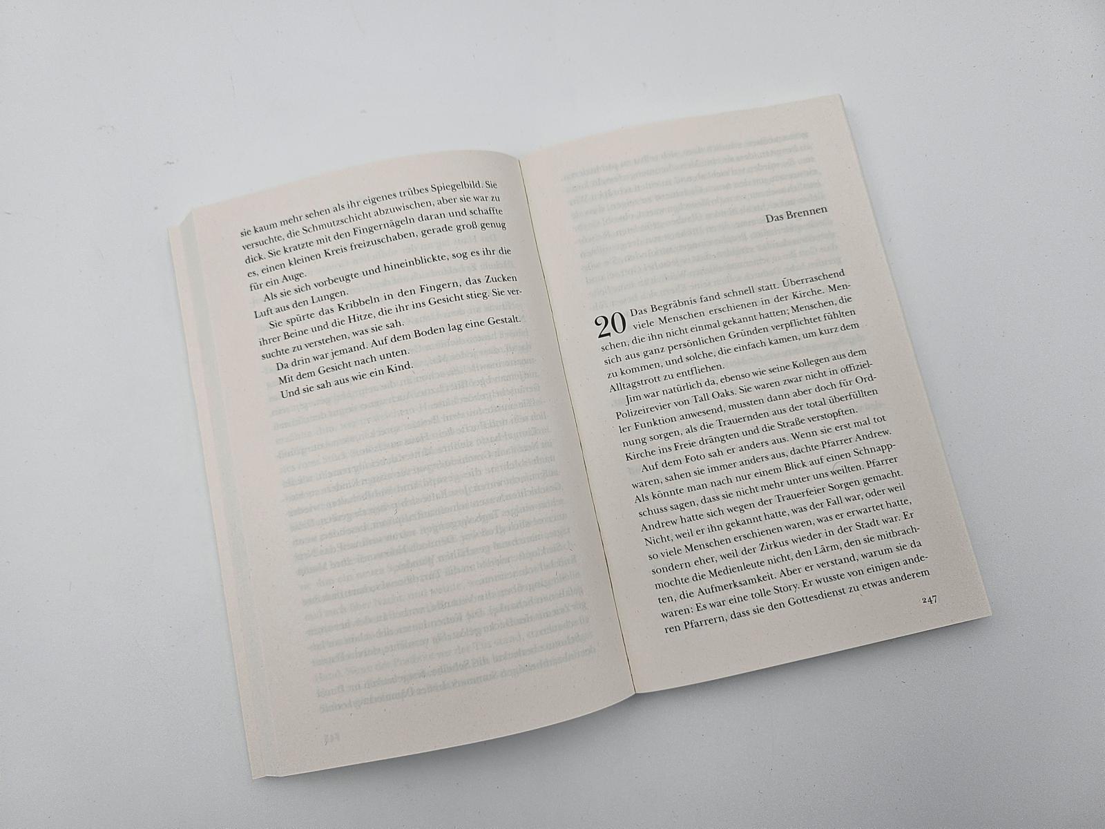 Beispielinhalt (Bild) Was auf das Ende folgt