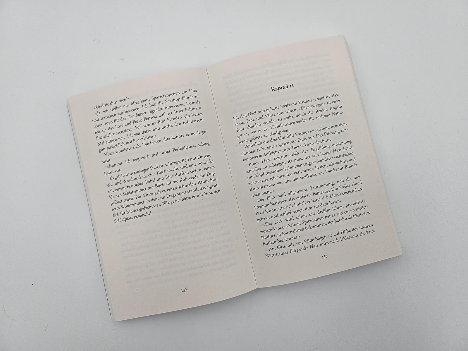 Beispielinhalt (Bild) Weihnachten in der Villa am Elbstrand