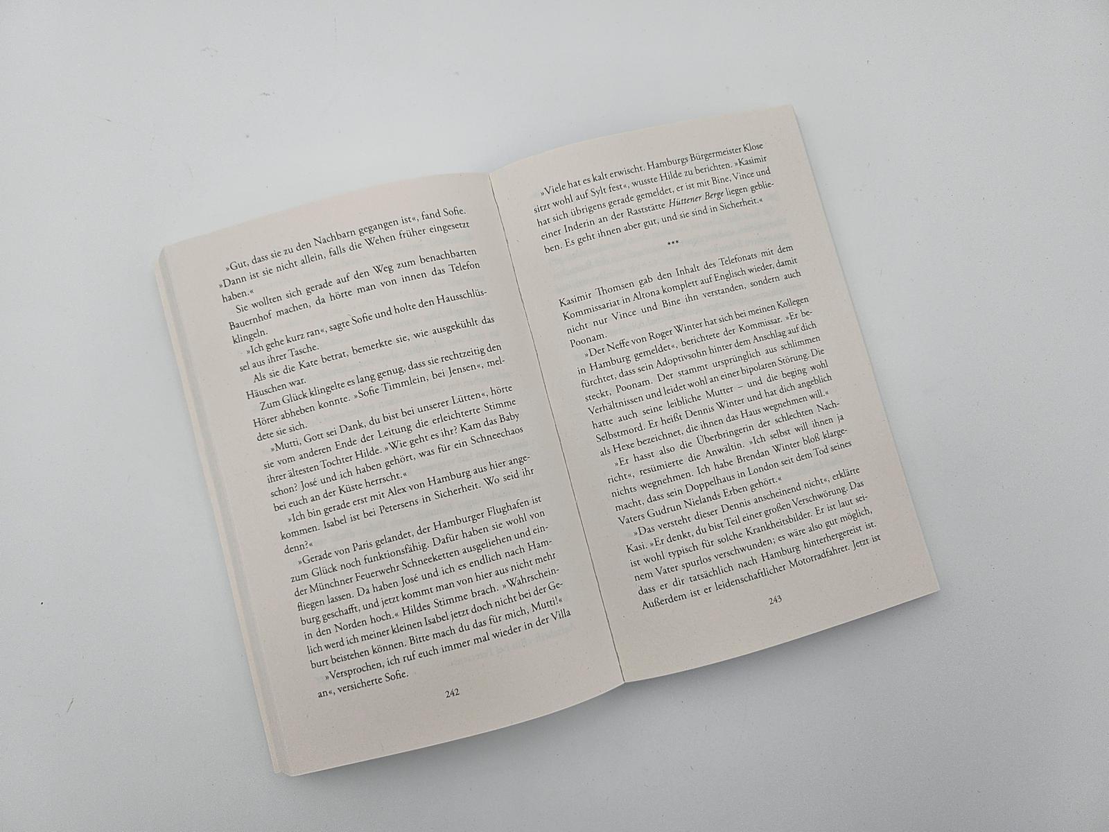 Beispielinhalt (Bild) Weihnachten in der Villa am Elbstrand