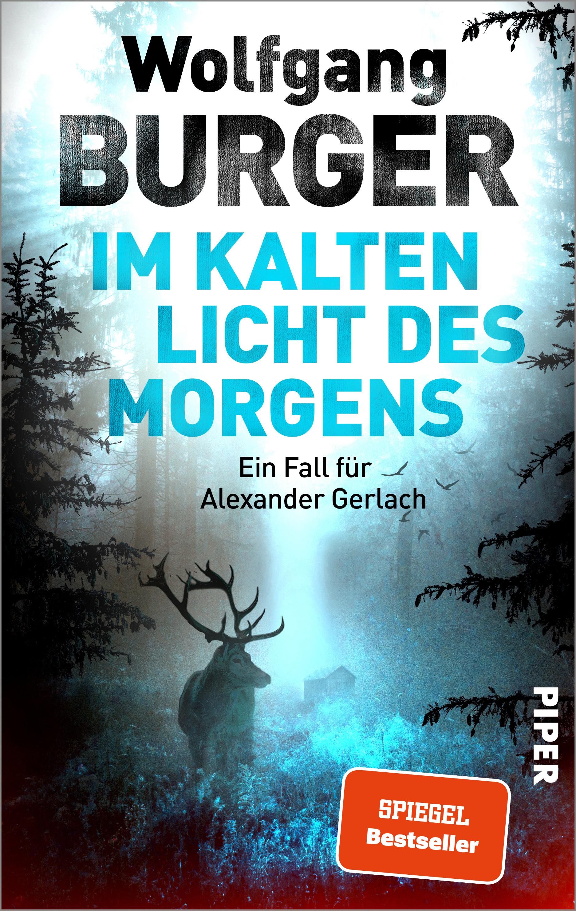Vorderes Coverbild Im kalten Licht des Morgens
