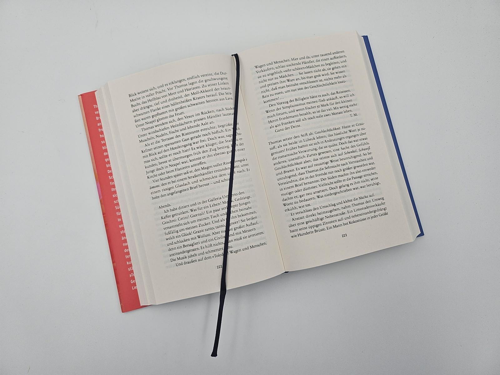 Beispielinhalt (Bild) Teufels Bruder