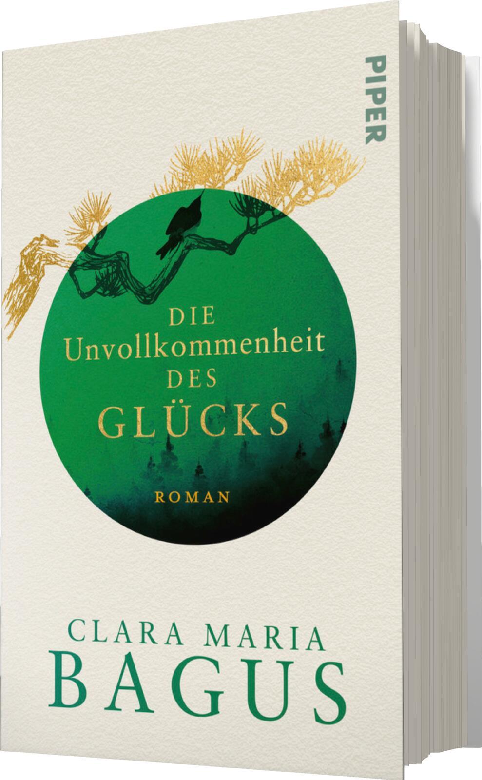 Vorderes Coverbild Die Unvollkommenheit des Glücks