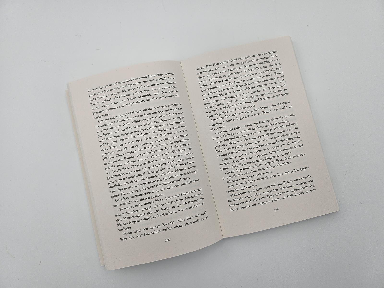 Beispielinhalt (Bild) Weihnachtszauber mit Alpakas