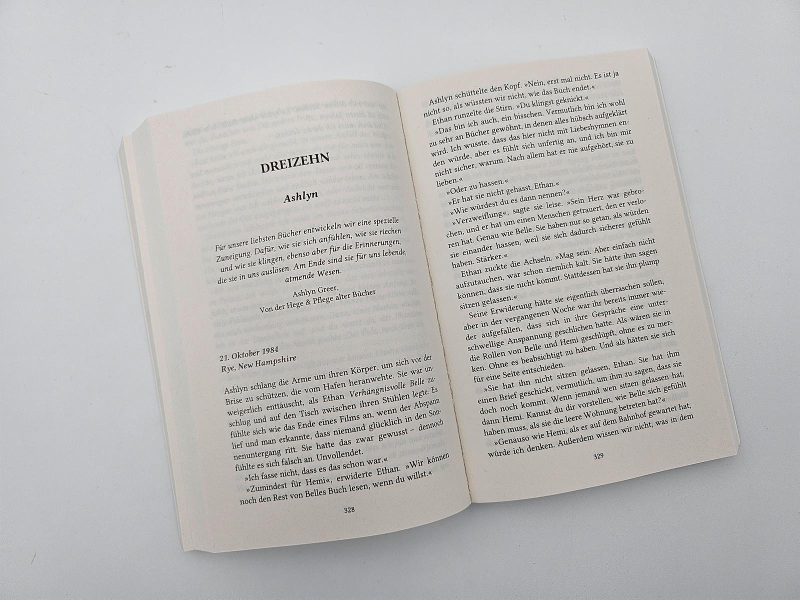 Beispielinhalt (Bild) Das Echo vergessener Bücher