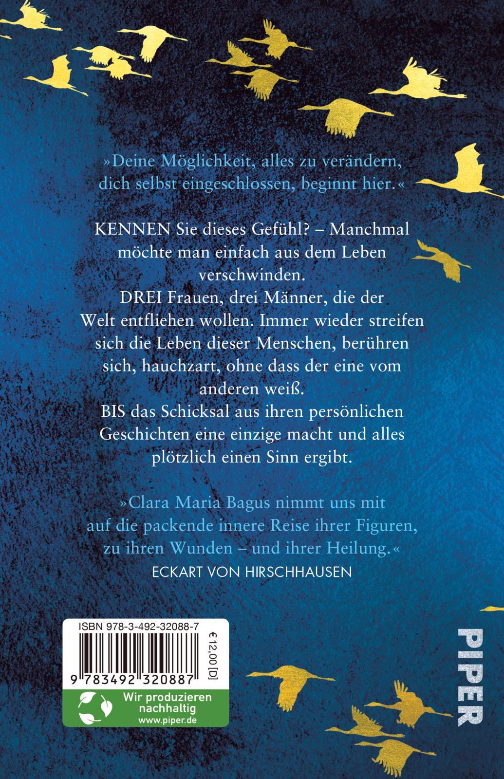 Rückseitencover Der Klang von Licht
