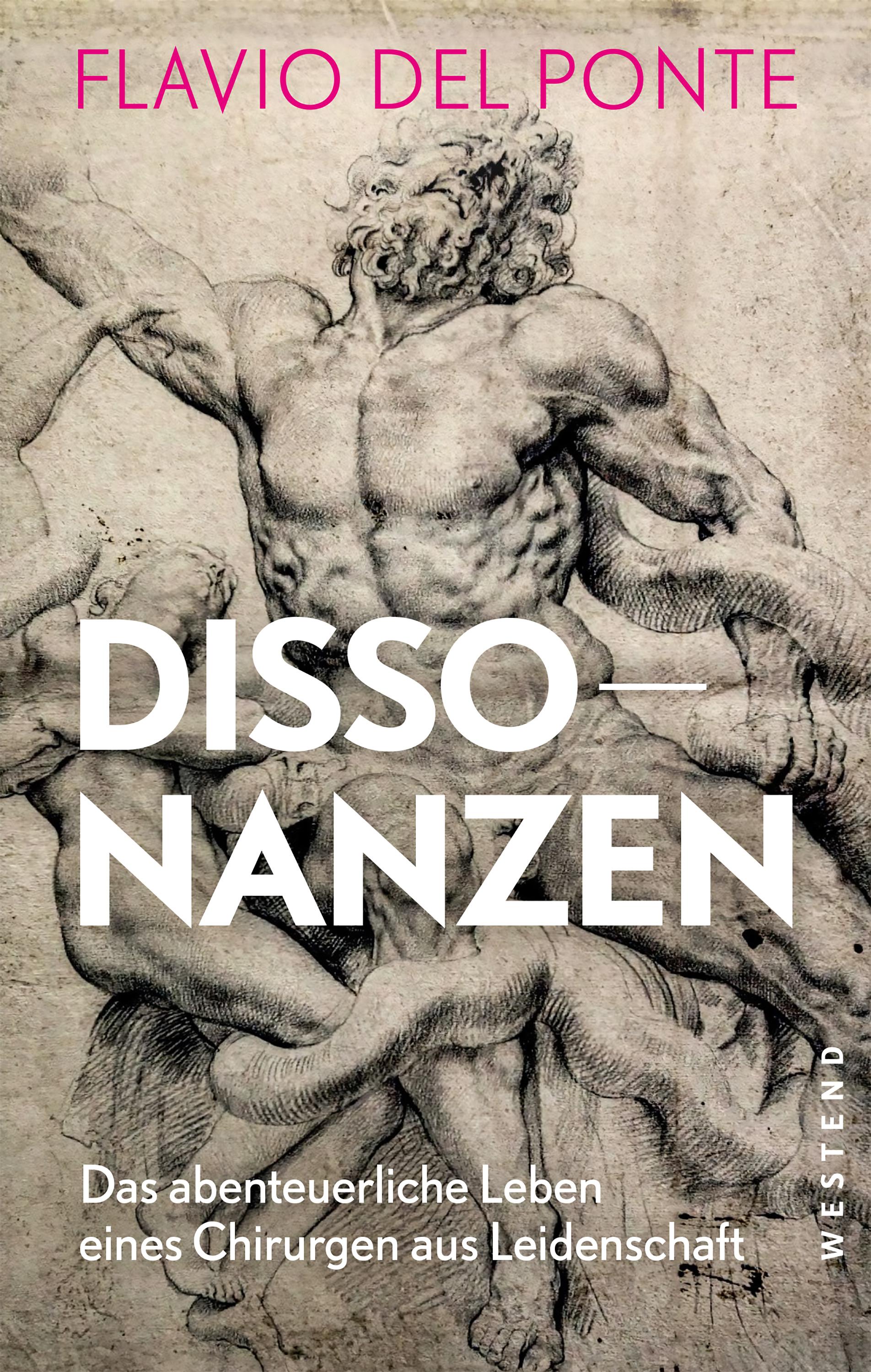 Vorderes Coverbild Dissonanzen