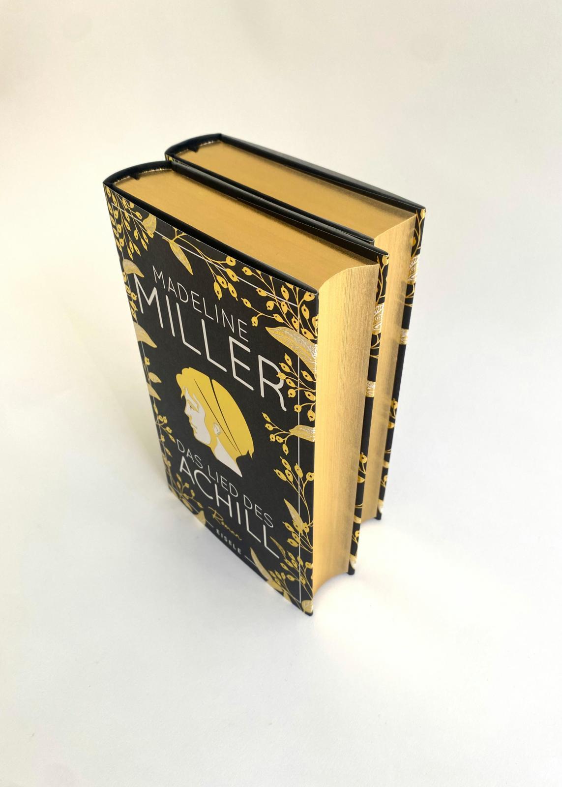 Beispielinhalt (Bild) Das Lied des Achill