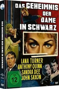 Vorderes Coverbild Das Geheimnis der Dame in schwarz