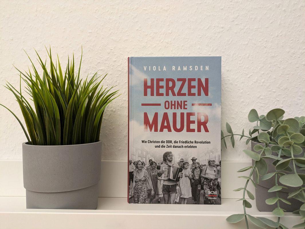 Beispielinhalt (Bild) Herzen ohne Mauer