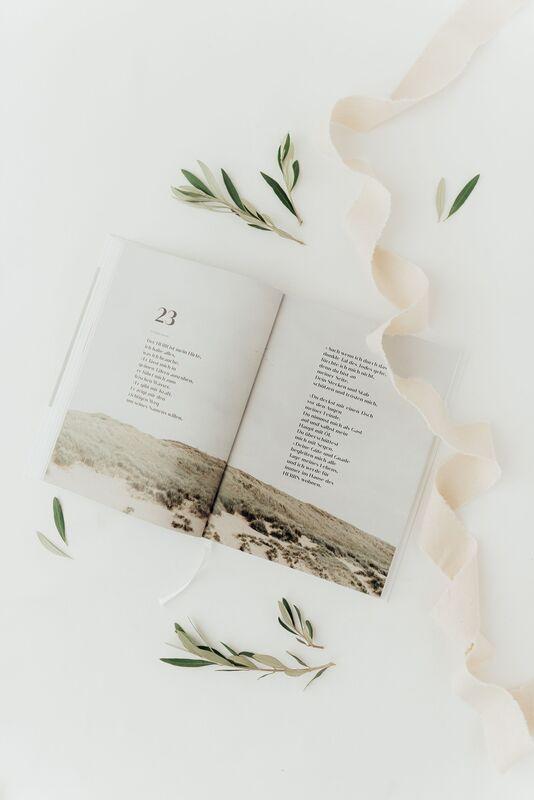 Beispielinhalt (Bild) Psalmen