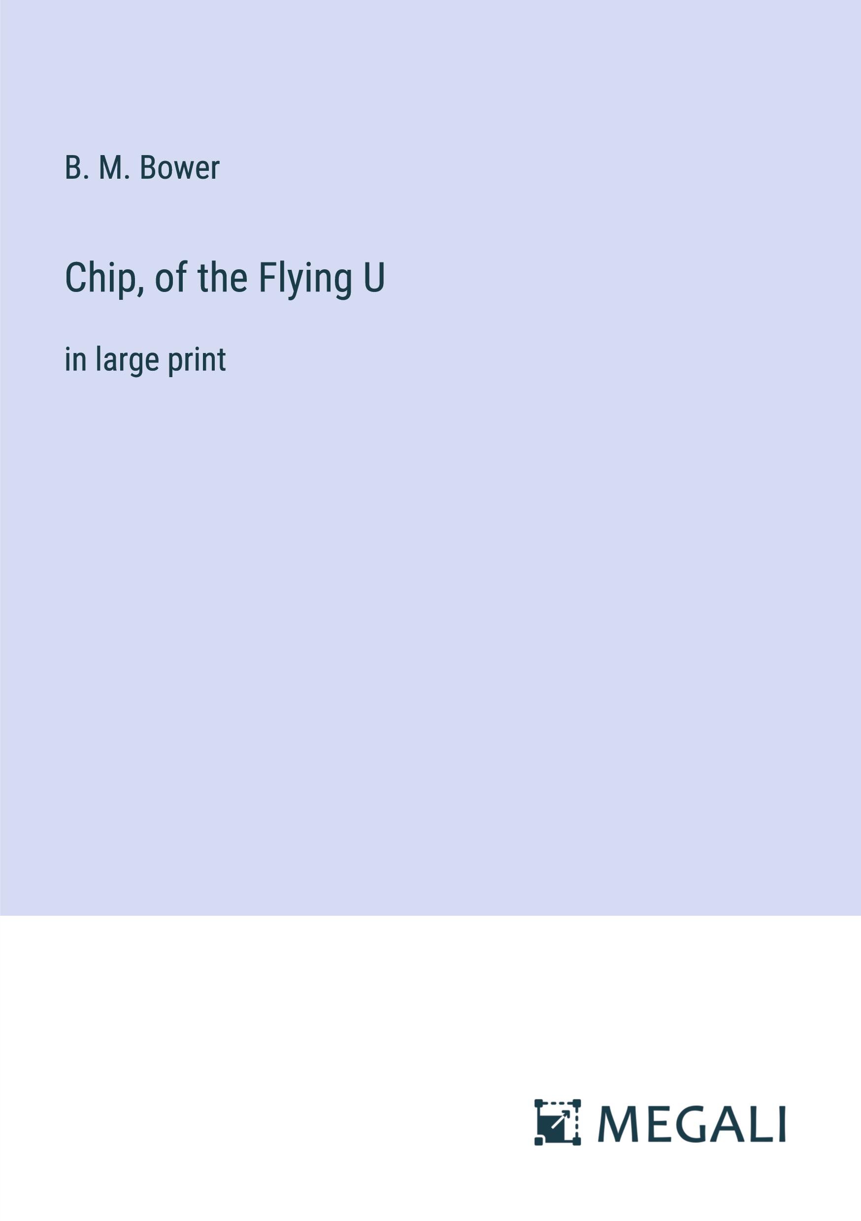 Vorderes Coverbild Chip, of the Flying U