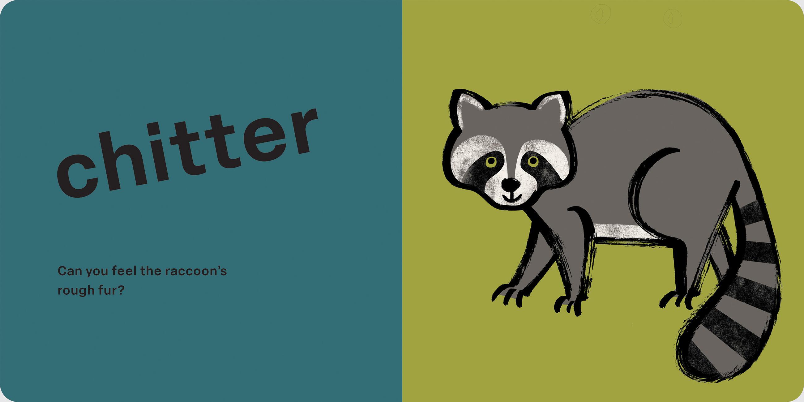 Beispielinhalt (Bild) Spring Street Touch and Feel: Forest