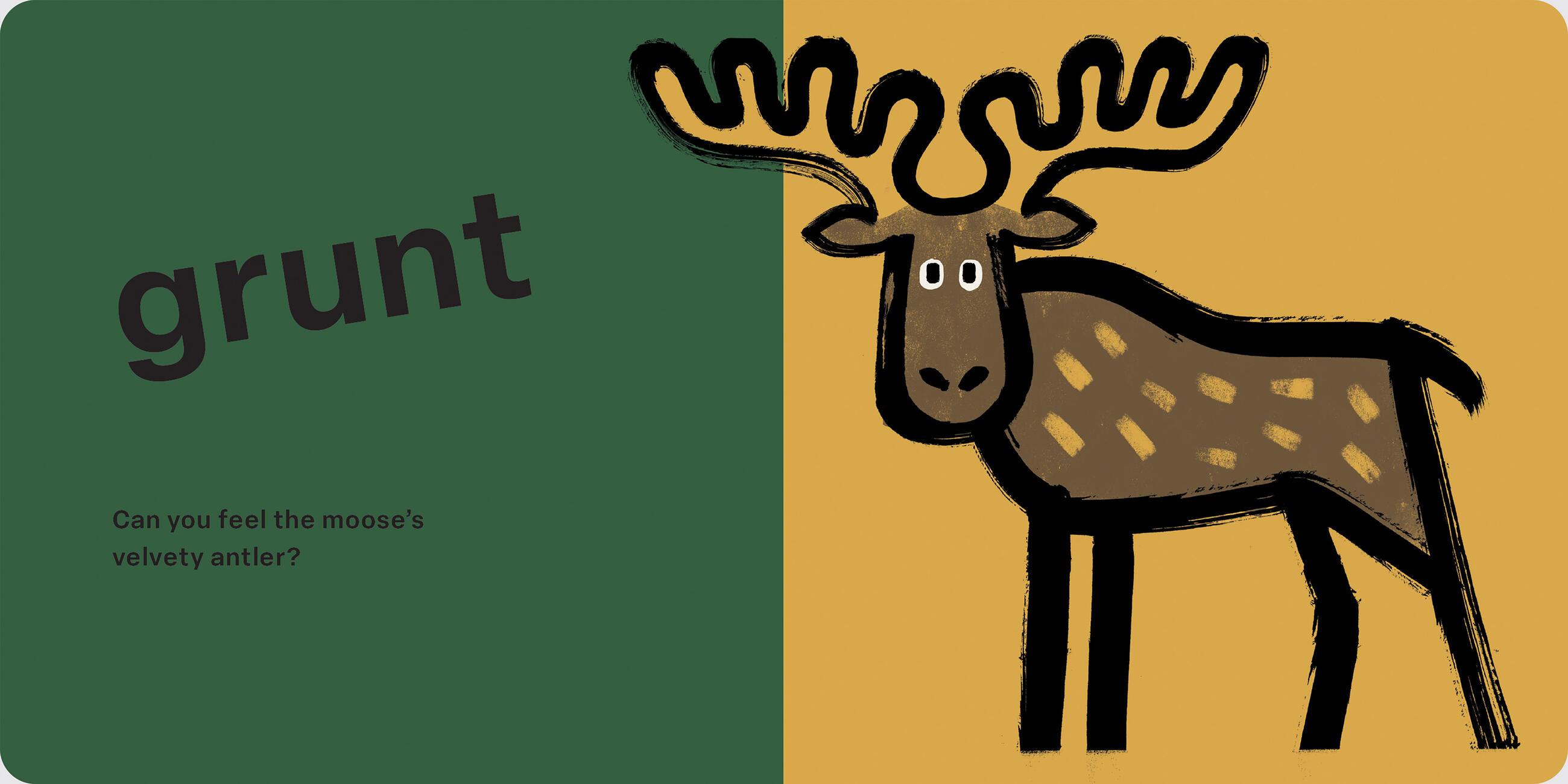 Beispielinhalt (Bild) Spring Street Touch and Feel: Forest