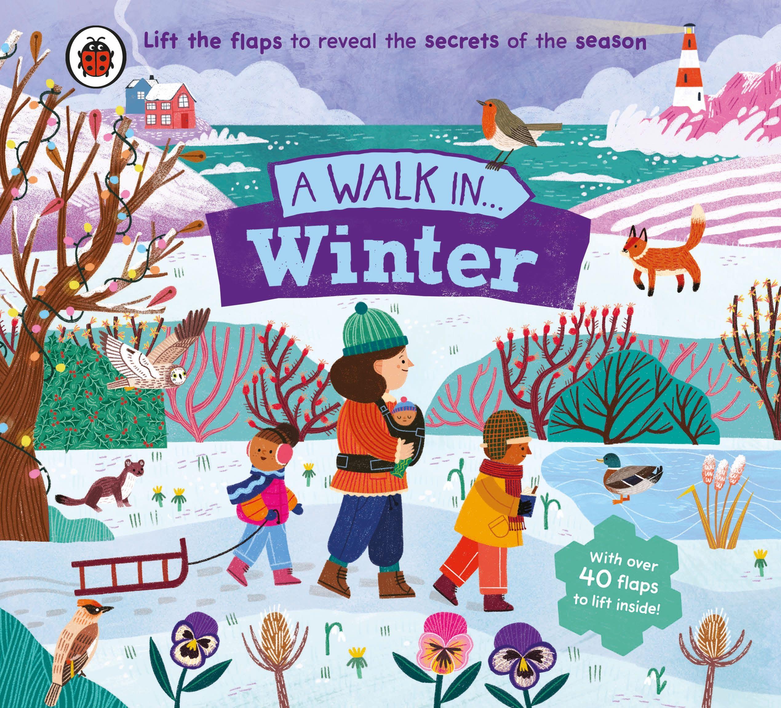 Vorderes Coverbild A Walk in Winter