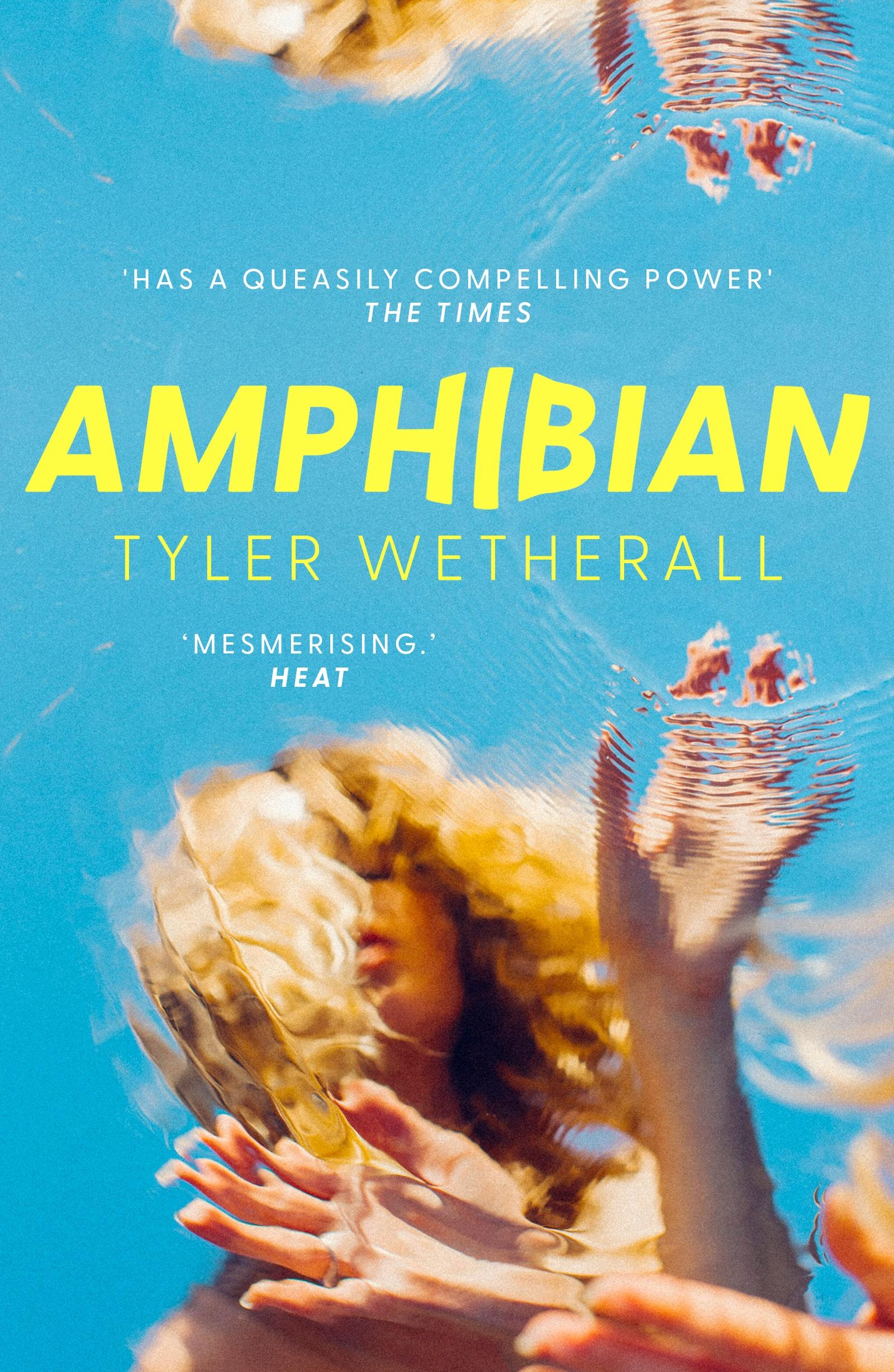 Vorderes Coverbild Amphibian
