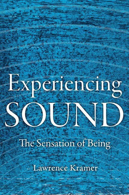 Vorderes Coverbild Experiencing Sound