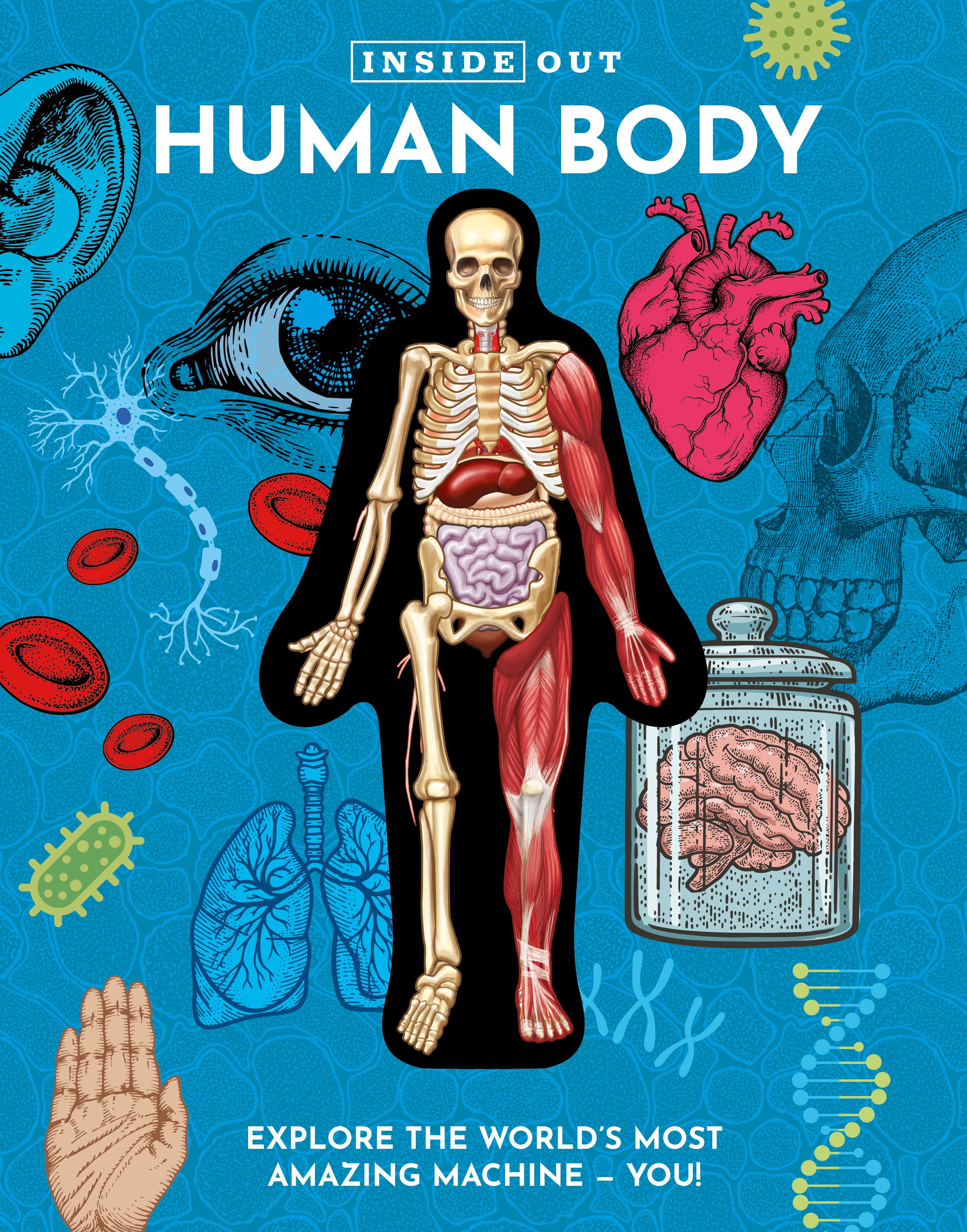 Vorderes Coverbild Inside Out Human Body