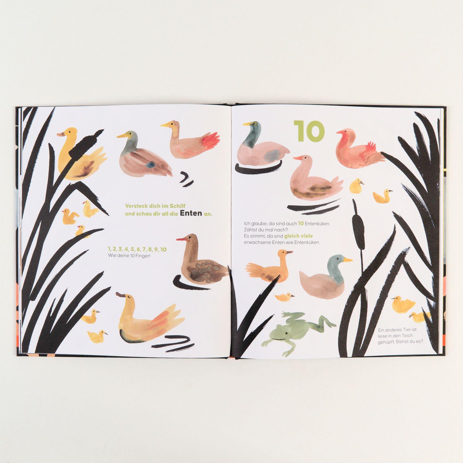 Beispielinhalt (Bild) Zähle alle Tiere