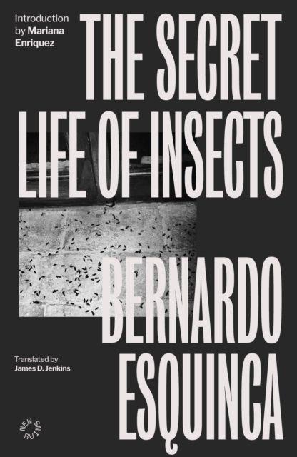 Vorderes Coverbild The Secret Life of Insects