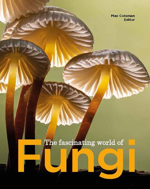 Vorderes Coverbild The Fascinating World of Fungi